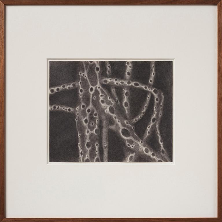 Christine Ödlund, "Mycelium".