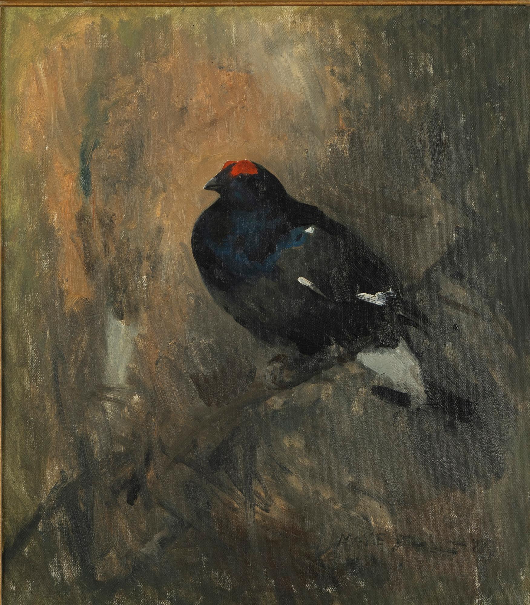 Mosse Stoopendaal, The translation of "Orre" to English is "Grouse.".