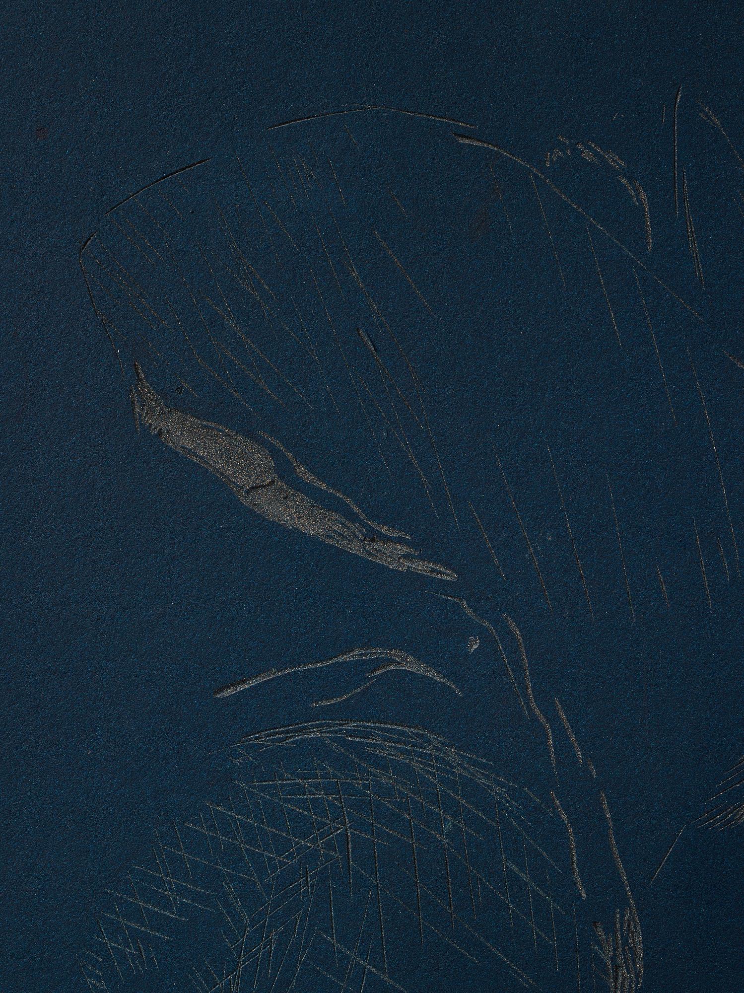 Idun Baltzersen, "Looking Down".