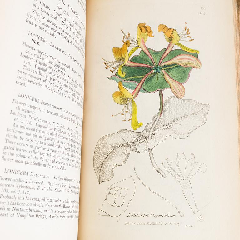 BÖCKER, 12 volymer, "English Botany", Sir James Edward Smith, James Sowerby, London, 1832-46.