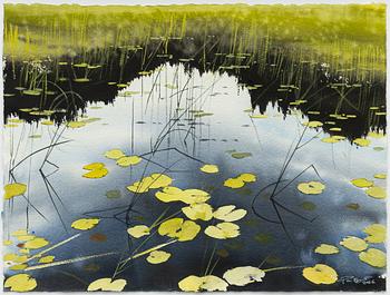 Peter Eugén, Lake with water lilies and reeds.
