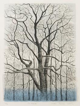 INARI KROHN, etching, signed and dated 2002, numbered 10/40.
