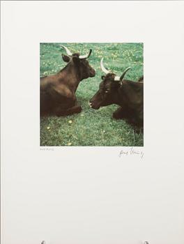 FOTOGRAFISK MAPP, "12 Instant Images", Polaroid SX-70, tryckt signatur.