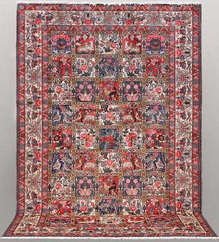 Matta, Bakhtiari, 305 x 207 cm.