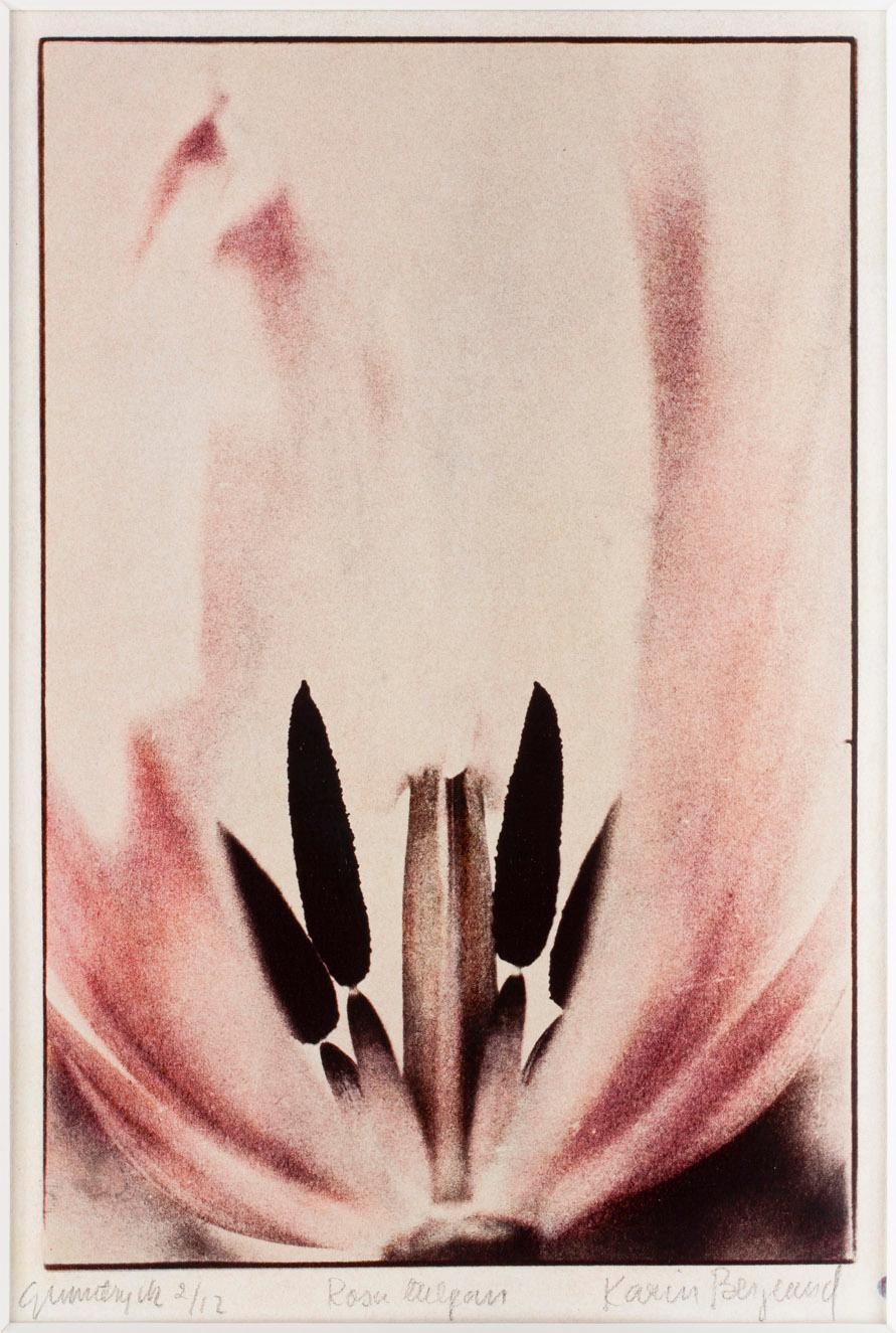 KARIN BERGLUND, Gummitryck, sign o numr 2/12.