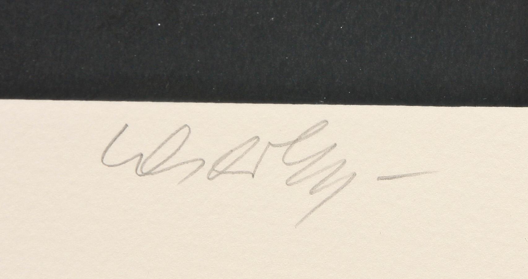 VICTOR VASARELY,  färgserigrafi, sign och numr 183/250.