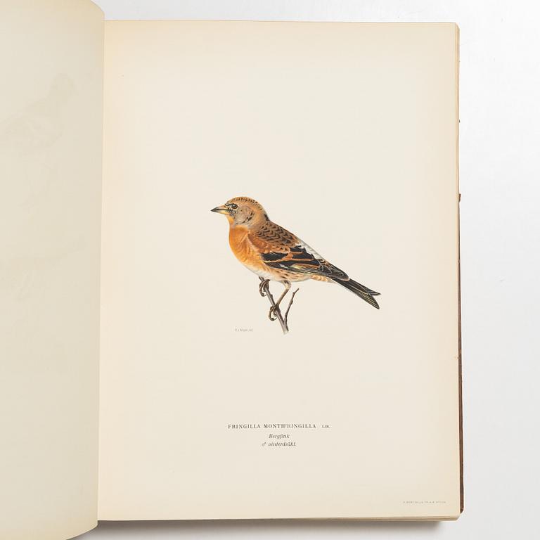 Bröderna von Wright, bokverk, 3 band, "Svenska fåglar", A. Börtzells tryckeri AB, Stockholm, 1927-1929.