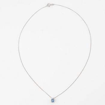 Collier 14K vitguld med safir.