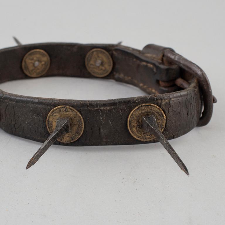 A first half of the 20th century dog collar.