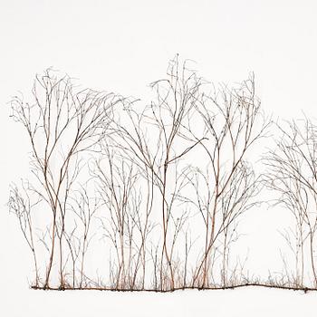 Johanna Karlsson, Untitled.