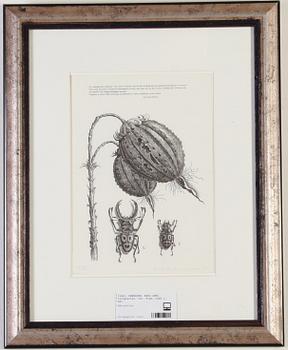 PEHRSON, KARL-AXEL. Litografier, 3st. Sign, numr o dat.