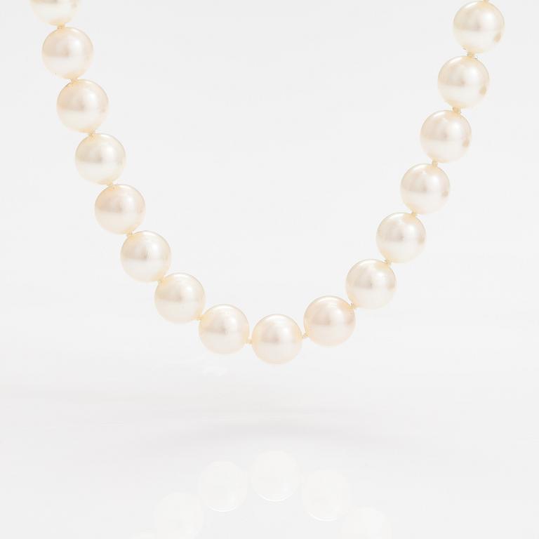 A pealr collier with cultured pearls and a metal clasp.