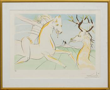 SALVADOR DALÍ, colour engraving, signed and numbered 147/250.