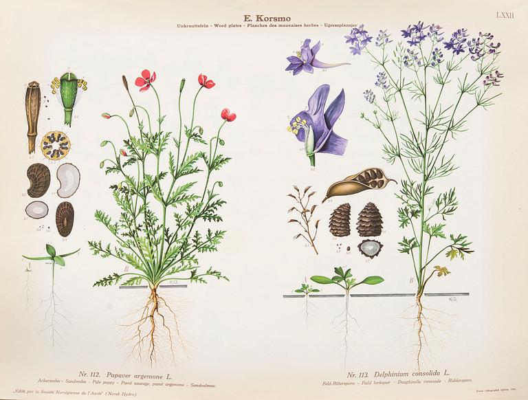 Emil Korsmo, 31 lithographic weed plates.