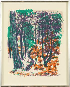 Inge Schiöler, Autumn trees.