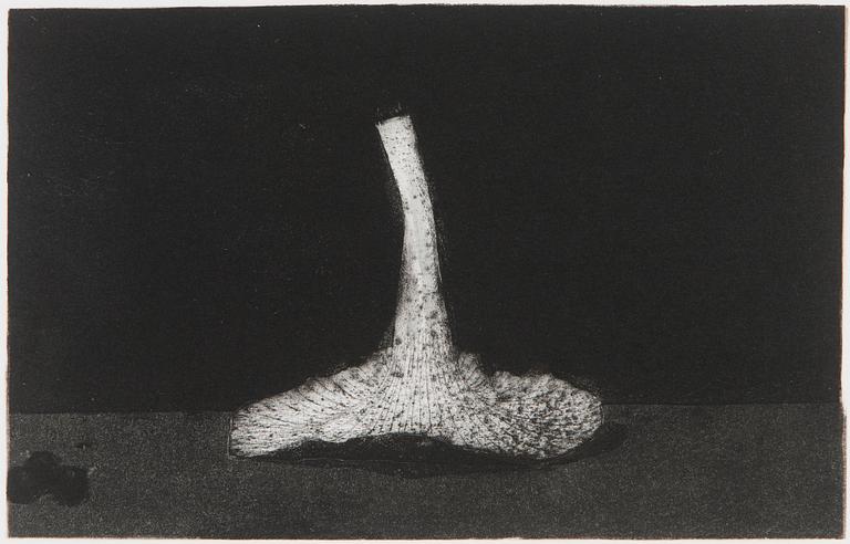 Pentti Kaskipuro, Mushroom.