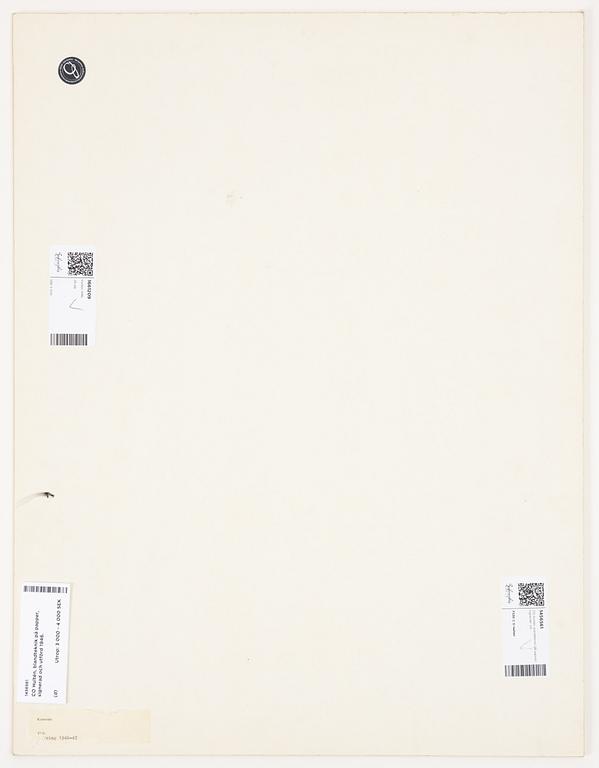 CO Hultén, Untitled.