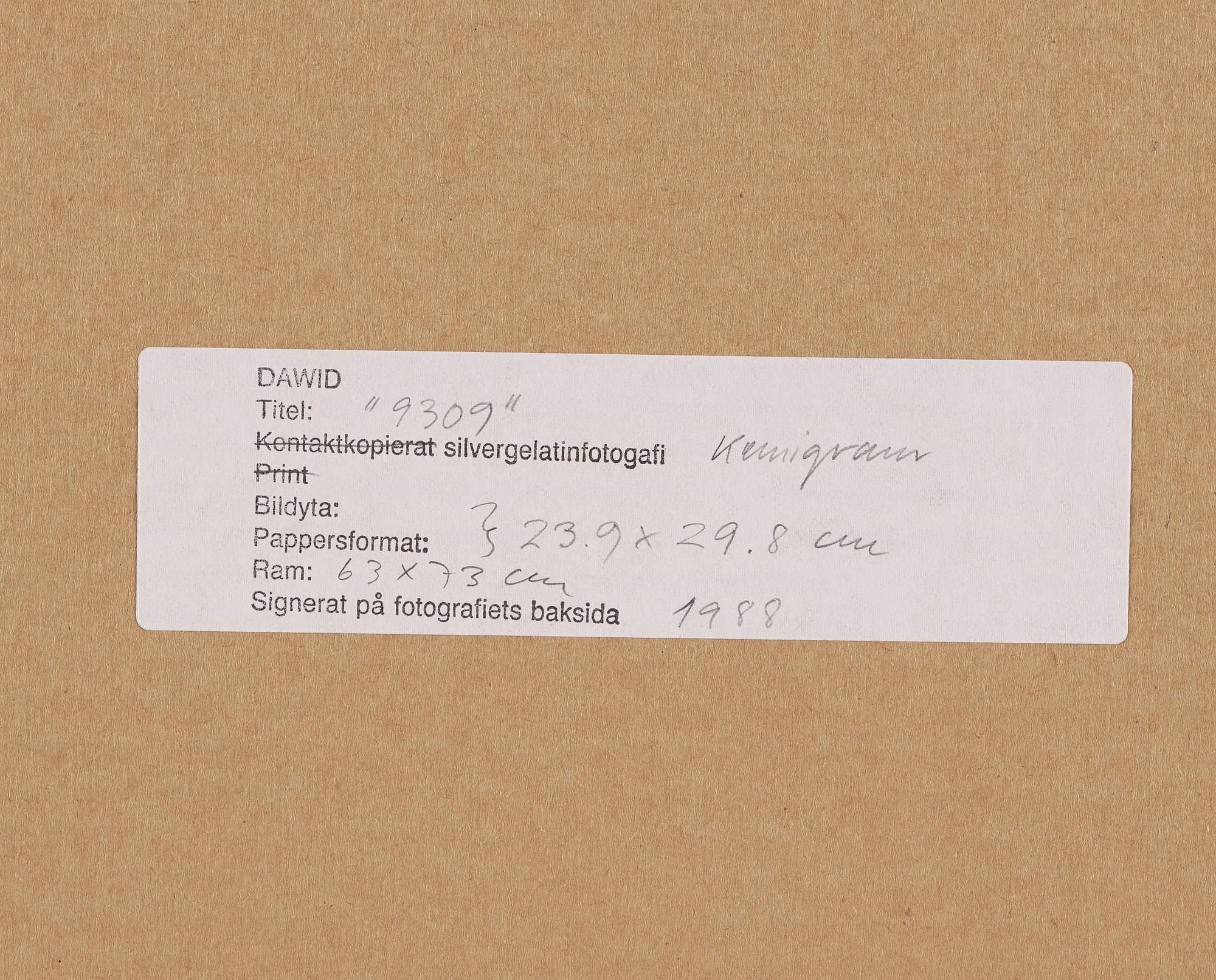 DAWID, Chemigraph on gelatin silver paper signed and dated 1988 on verso. Vintage.