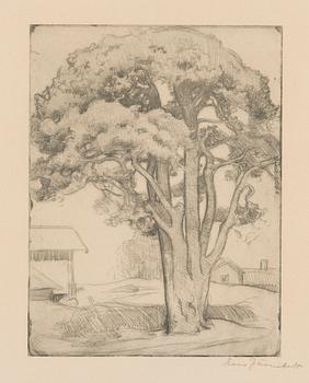 Eero Järnefelt, An old tree.