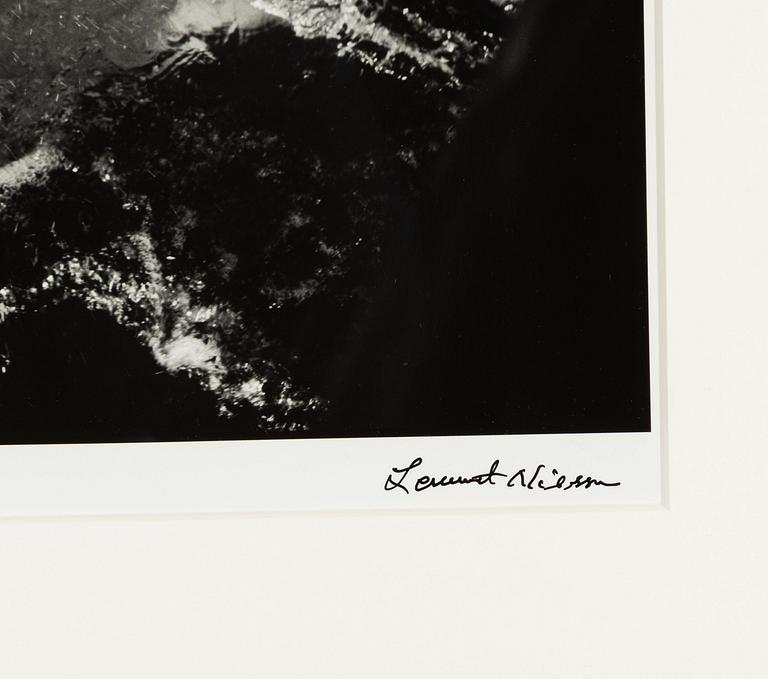 Lennart Nilsson,  "Isbjörnsjakt vid Hvitøya (Vitön), Svalbard, Norge 1947".