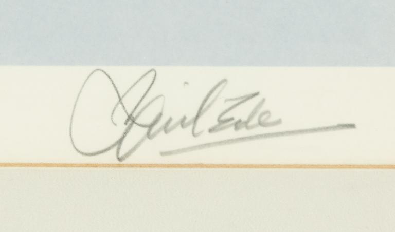 Basil Ede, "American Robins".