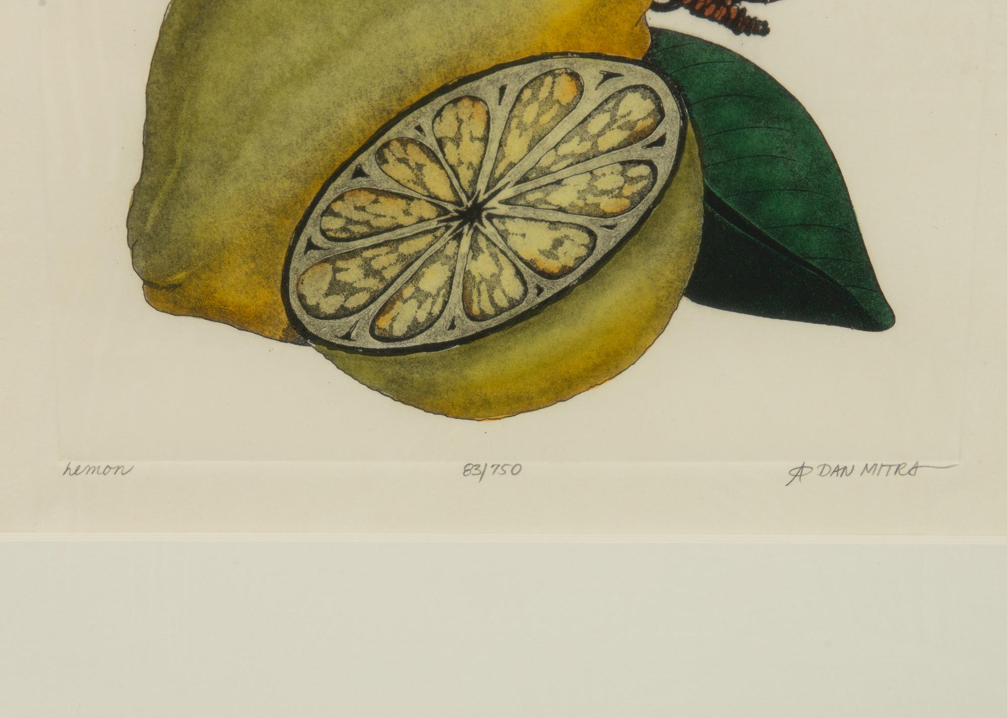 Dan Mitra, a suite of six etchings, framed together.