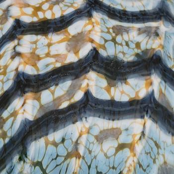 Oiva Toikka, a 'Goose' glass bird, signed O. Toikka Nuutajärvi 1687/2000.