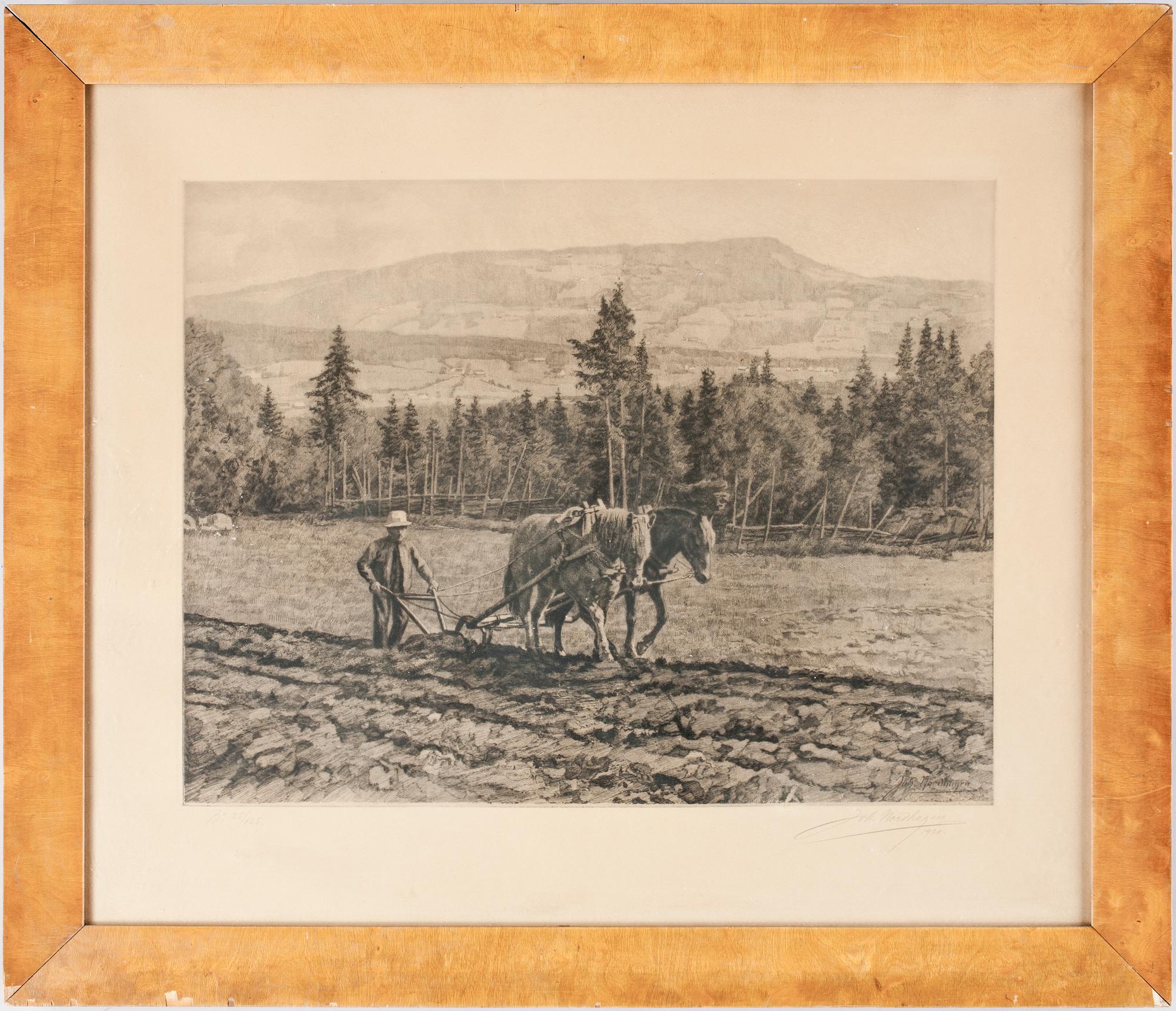 JOHAN NORDHAGEN, etsning. Sign och dat 1920. Numr 25/125.