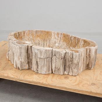 HANDFAT, fossil av förstenat trä.