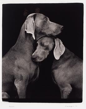 William Wegman, "Friends".