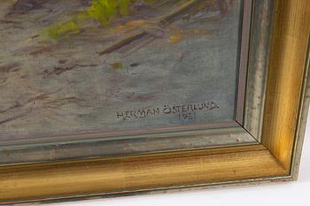 Herman Österlund, Untitled.