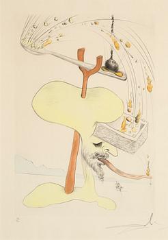 Salvador Dalí, torrnål kolorerad med stencil, 1975, signerad 33/300.