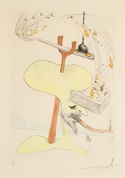 Salvador Dalí, drypoint coloured with stencil, 1975. signed 33/300.