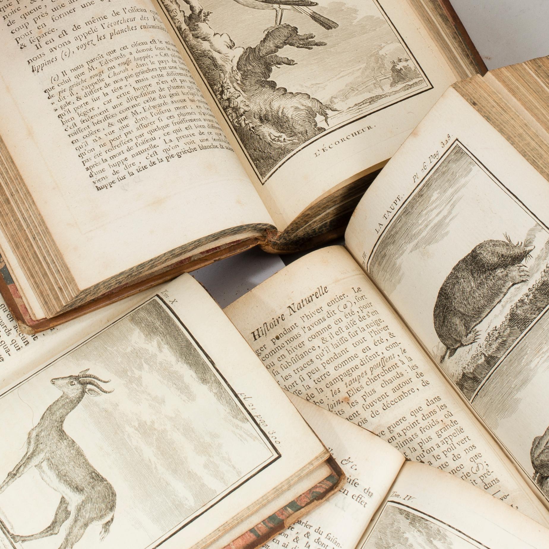 A set of 19 1700s books.