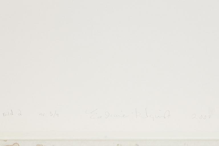 Ewa-Marie Rundquist, "Vallmo 2", 2007.