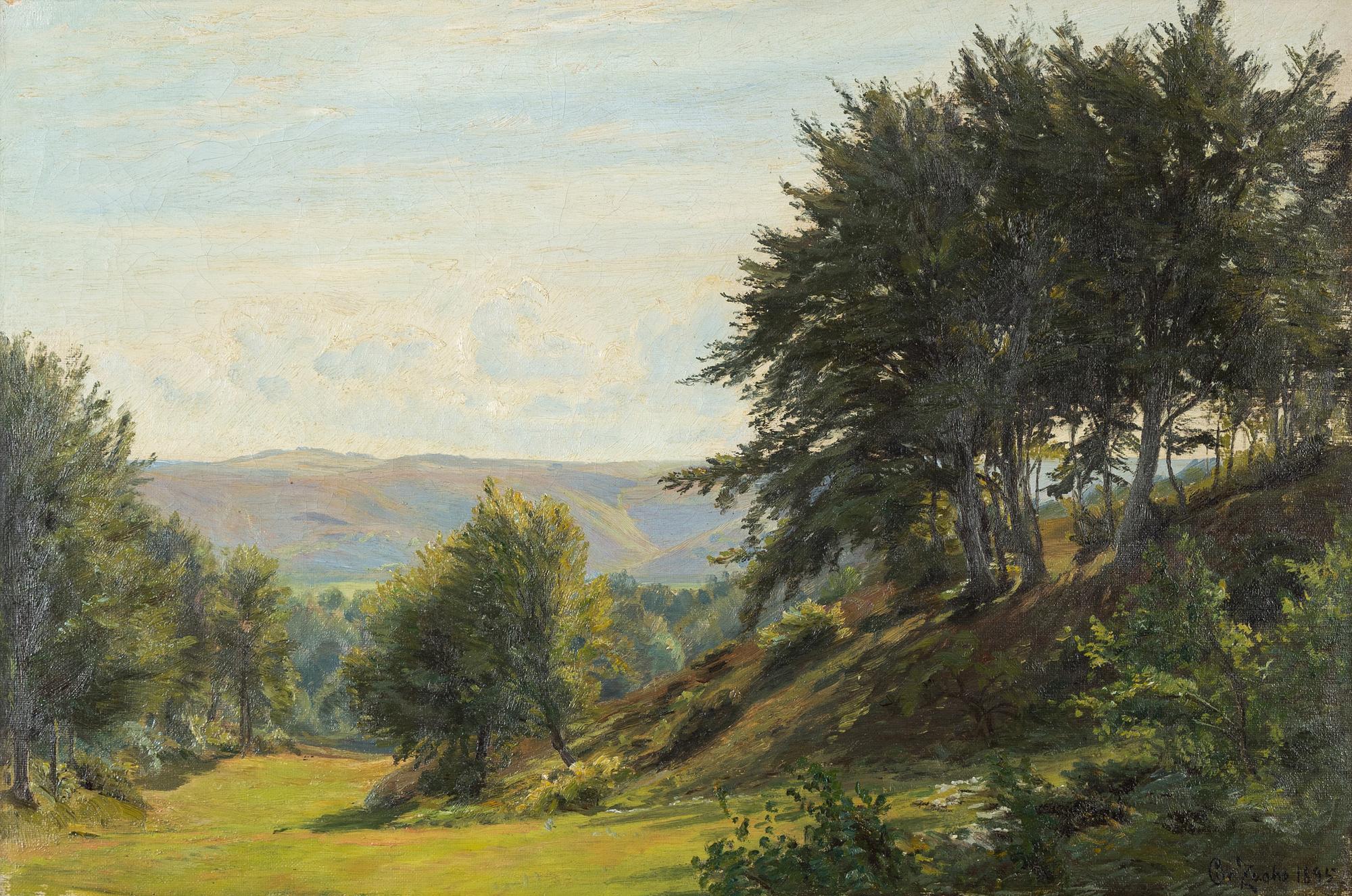 Christian Zacho, oil on canvas, signed and dated 1895.