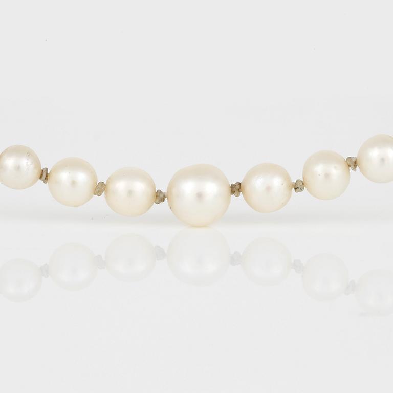 HALSBAND, med odlade pärlor och silverlås.