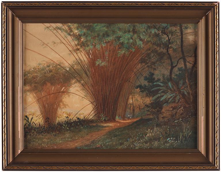 Michel-Jean Cazabon, Bamboo Arch, Trinidad.