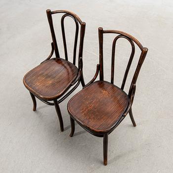 Stolar, 6 st, Fischel, 1900-talets början.