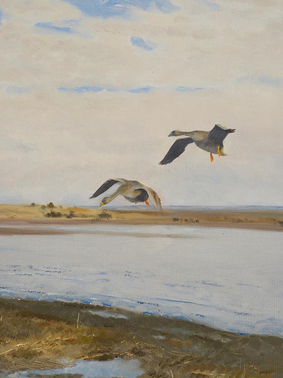 Bruno Liljefors, Landscape with geese.