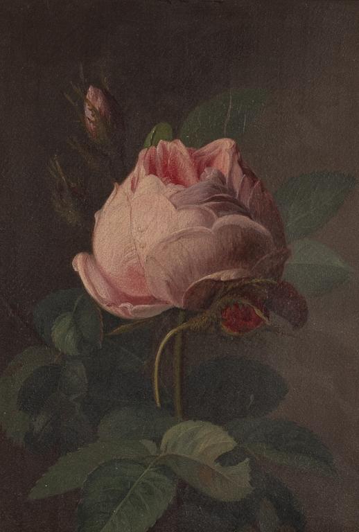 Carl Balsgaard, attributed, Roses.