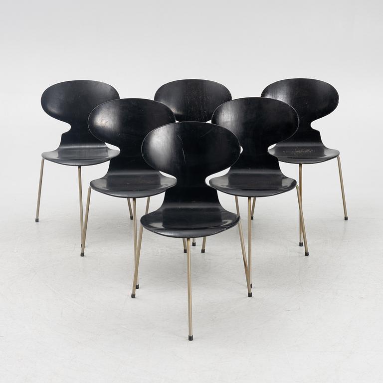 Arne Jacobsen, stolar, 6 st, "Myran", Fritz Hansen, Danmark, 1950/60-tal.