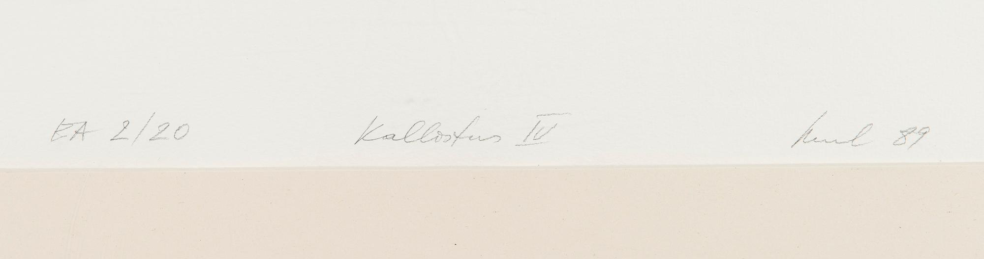 Raul Meel, Kallistus IV.