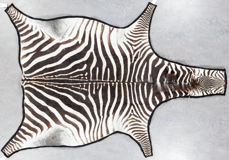 ZEBRASKINN, 1900/2000-tal. Ca 300 x 170.