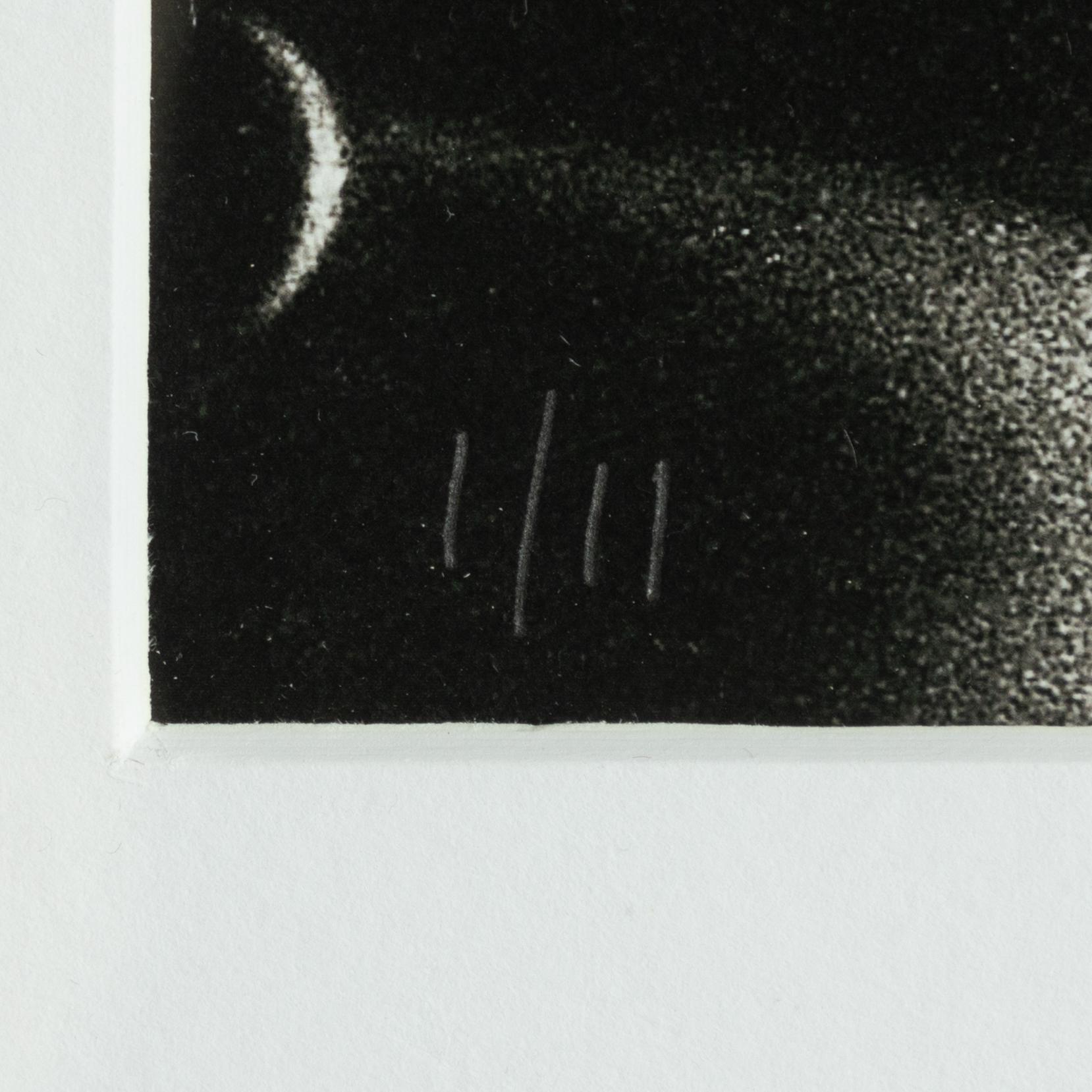 Peter Kjellerås, "Prince, Isstadion, Stockholm", 1987.