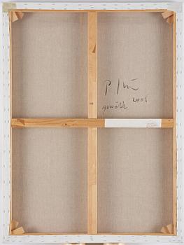 Peter Frie, "Gewölk no.8".