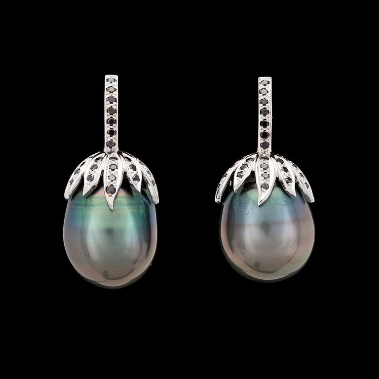 A pair of cultured Tahiti pearl, app. 16 mm, and black diamond earrings.