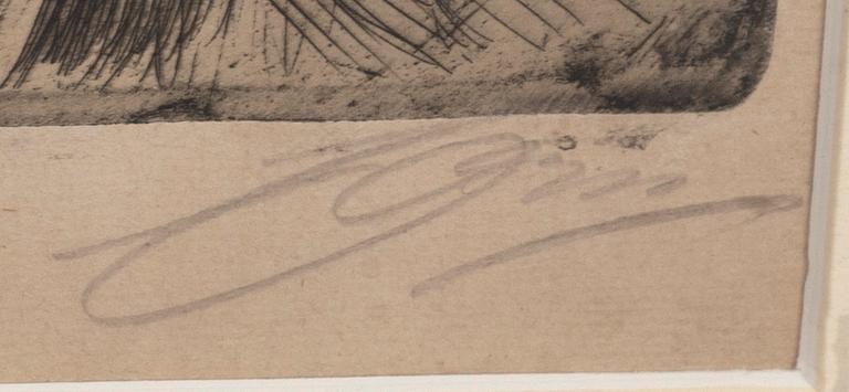 Anders Zorn, a signed etching from 1899.