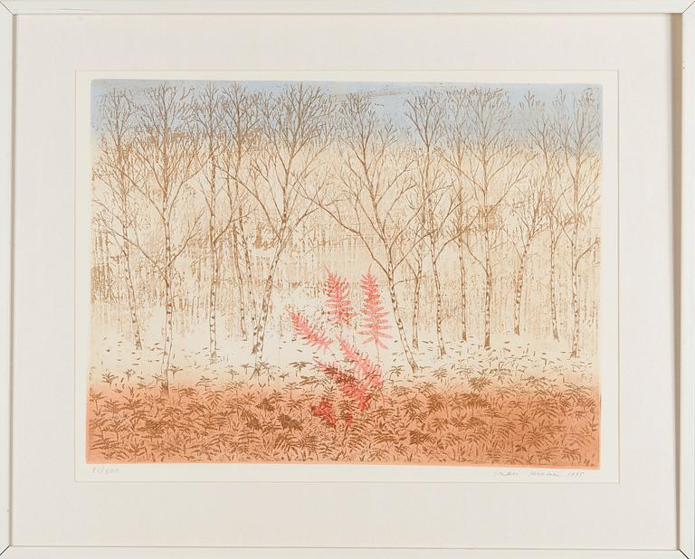 Inari Krohn, Kevätkoivikko.