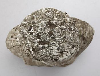 SKULPTUR, marmor, 1900-talets första hälft.